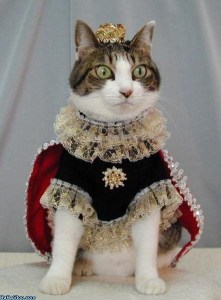 Queen_Cat