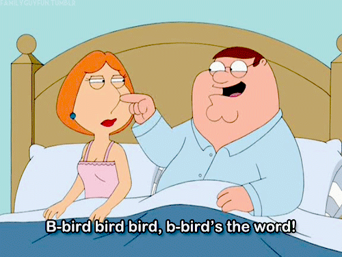 bird-is-the-word